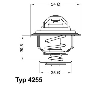 719000.jpg